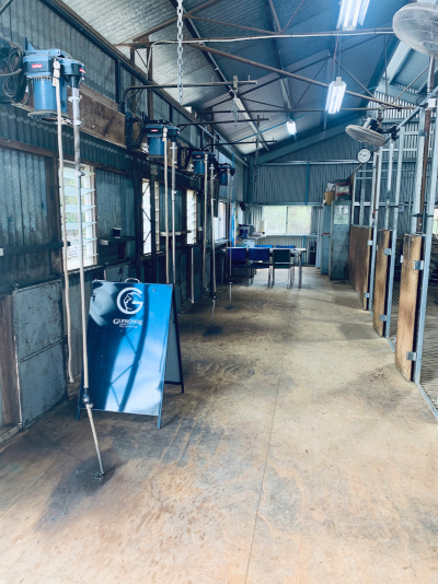 shearing shed boards