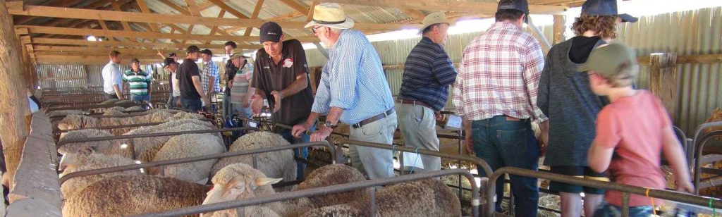 eudunda show