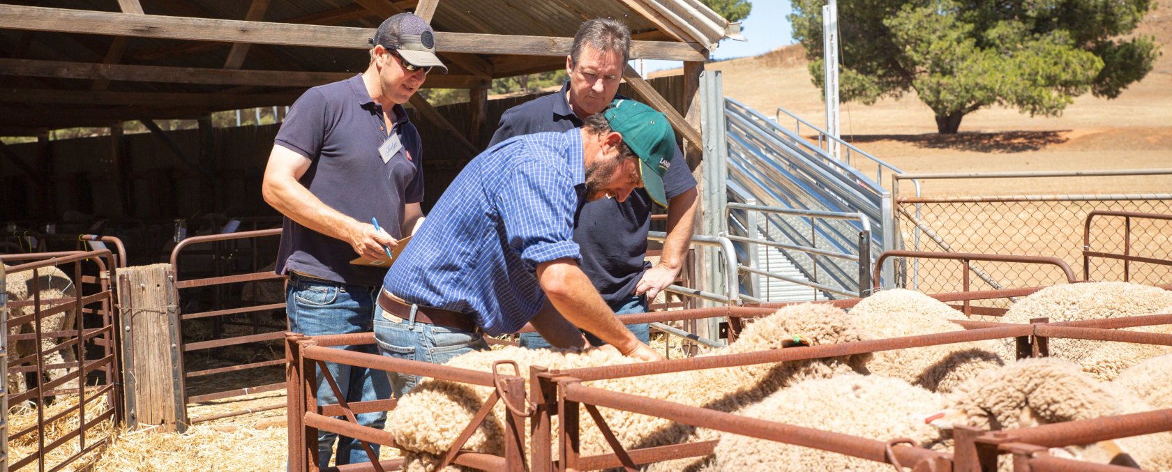 eudunda show banner