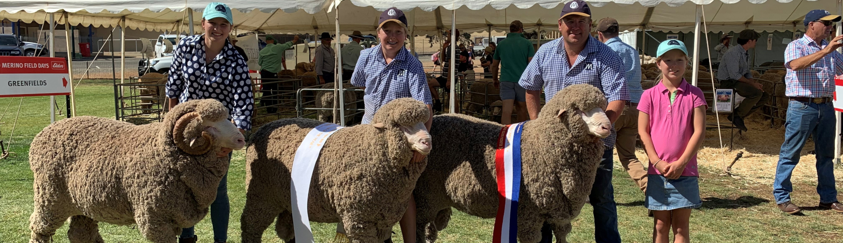 field days banner